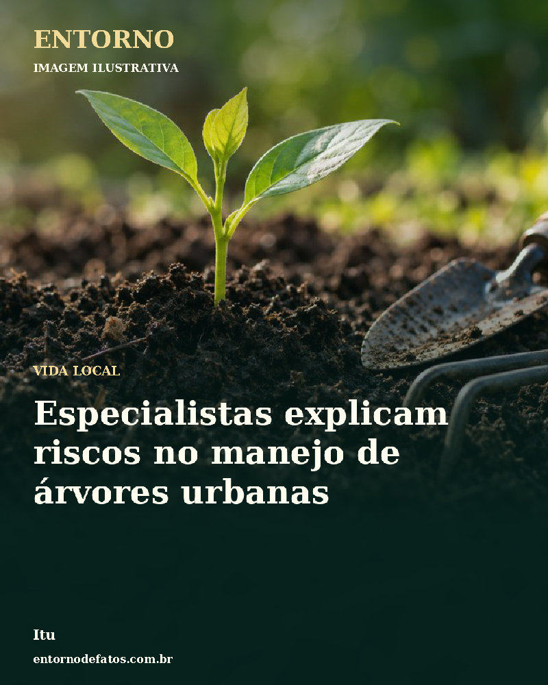 Ilustração gerada por IA sobre: Especialistas explicam riscos no manejo de árvores urbanas